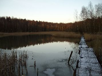 Klärteich 1 Heute